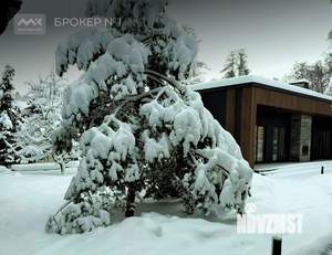 Дом 98м², 1-этажный, на длительный срок, 