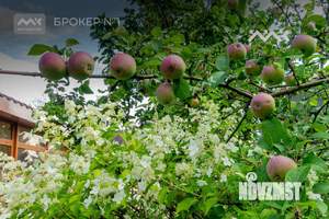 Дом 380м&sup2;, 3-этажный, на длительный срок, 