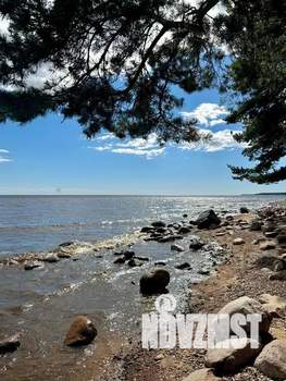 Дом 34м², 1-этажный, посуточно, 