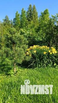 Дом 55м², 2-этажный, посуточно, 