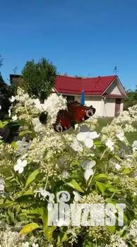 Дом 45м&sup2;, 1-этажный, посуточно, 