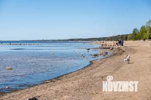 Дом 250м², 2-этажный, посуточно, 