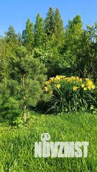 Дом 55м&sup2;, 2-этажный, посуточно, 