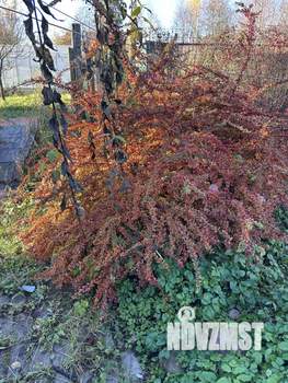 Дом 74м², 2-этажный, на длительный срок, 