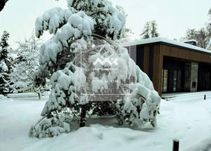 Дом 98м², 1-этажный, на длительный срок, 