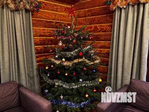 Дом 100м&sup2;, 1-этажный, посуточно, 