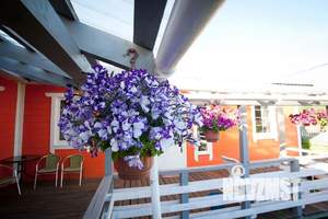 Дом 245м&sup2;, 1-этажный, посуточно, 