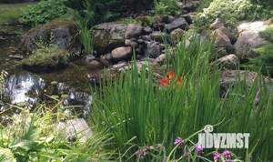 Коттедж 350м², 2-этажный, на длительный срок, 