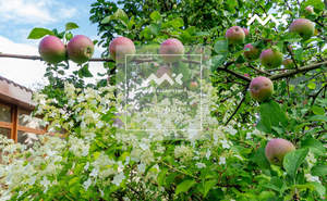 Дом 380м&sup2;, 3-этажный, на длительный срок, 