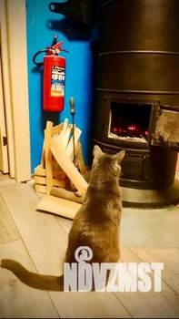 Дом 60м&sup2;, 1-этажный, посуточно, 