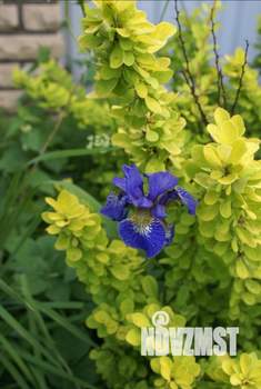 Коттедж 239м², 2-этажный, участок 7 сот.  