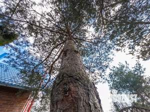 Дом 249м², 3-этажный, участок 16 сот.  