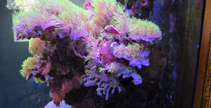 Дом 320м², 4-этажный, участок 6 сот.  