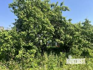 Дом 37м², 1-этажный, участок 12 сот.  