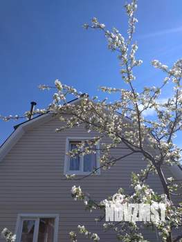 Дом 59м², 2-этажный, участок 4 сот.  