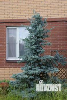 Коттедж 239м², 2-этажный, участок 7 сот.  
