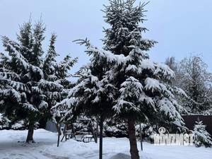 Дом 70м², 1-этажный, участок 21 сот.  