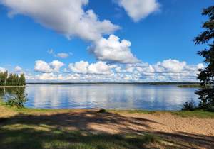 Дом 83м², 2-этажный, участок 14 сот.  