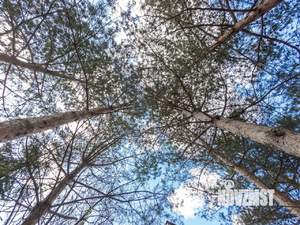 Дом 249м², 3-этажный, участок 16 сот.  