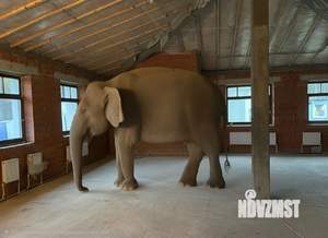 Таунхаус 144м², 1-этажный, участок 3 сот.  