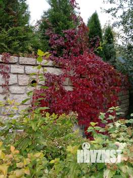 Дом 130м&sup2;, 2-этажный, участок 10 сот.  