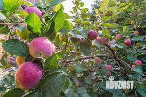 Дом 283м², 3-этажный, участок 32 сот.  