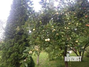 Дача 109м², 3-этажный, участок 13 сот.  