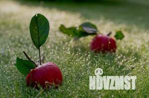 Дом 411м², 2-этажный, участок 12 сот.  