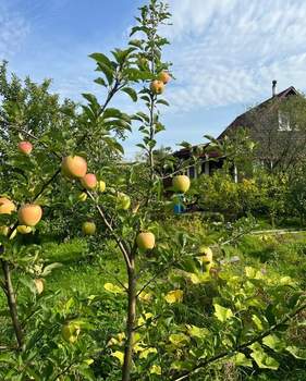 Дача 68м², 2-этажный, участок 7 сот.  