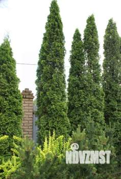 Коттедж 239м², 2-этажный, участок 7 сот.  