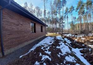 Дом 197м², 1-этажный, участок 12 сот.  