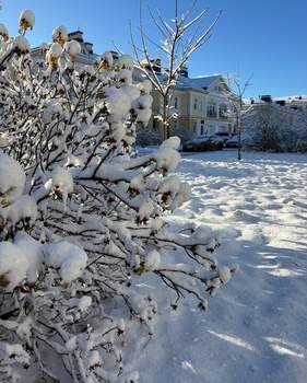 Дом 131м², 2-этажный, участок 1 сот.  