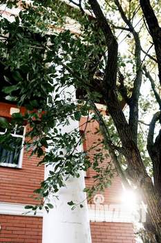 Дом 238м&sup2;, 3-этажный, участок 10 сот.  