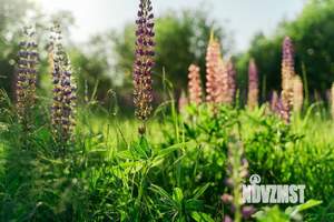Коттедж 273м², 2-этажный, участок 12 сот.  