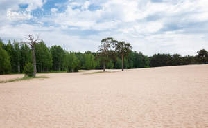 Дом 320м², 4-этажный, участок 6 сот.  