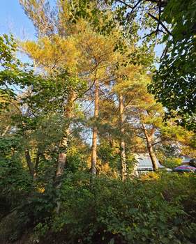 Дом 83м², 2-этажный, участок 14 сот.  