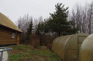 Дом 92м², 2-этажный, участок 12 сот.  