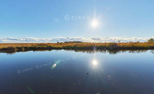 Дом 100м², 1-этажный, участок 11 сот.  