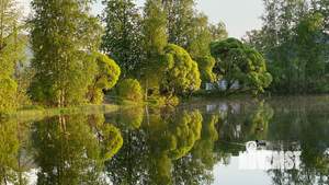 Дом 440м², 2-этажный, участок 22 сот.  