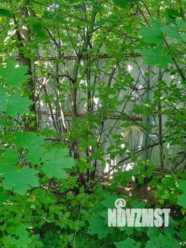 Дом 36м², 2-этажный, участок 11 сот.  