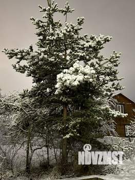 Дом 98м&sup2;, 1-этажный, участок 7 сот.  