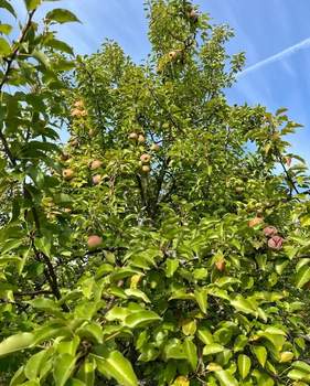 Дача 68м², 2-этажный, участок 7 сот.  