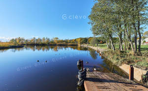 Дом 100м², 1-этажный, участок 11 сот.  