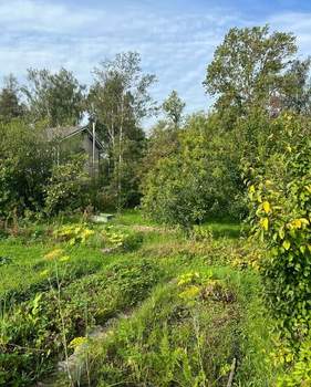 Дача 68м², 2-этажный, участок 7 сот.  