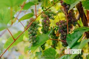 Дом 342м², 3-этажный, участок 6 сот.  