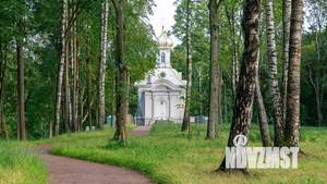 Коттедж 236м&sup2;, 1-этажный, участок 340 сот.  