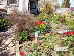 Дом 60м², 2-этажный, участок 8 сот.  