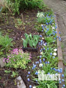 Дом 59м², 2-этажный, участок 4 сот.  