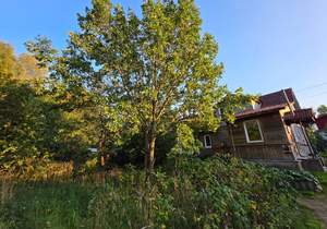 Дом 83м², 2-этажный, участок 14 сот.  