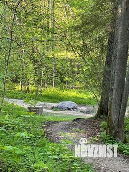 Коттедж 236м&sup2;, 1-этажный, участок 340 сот.  